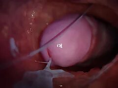 China Gay XXX 11